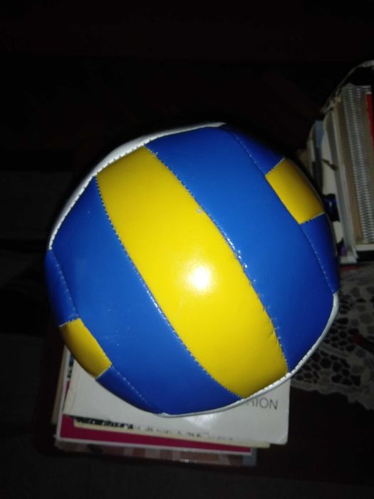 Vand minge de volei