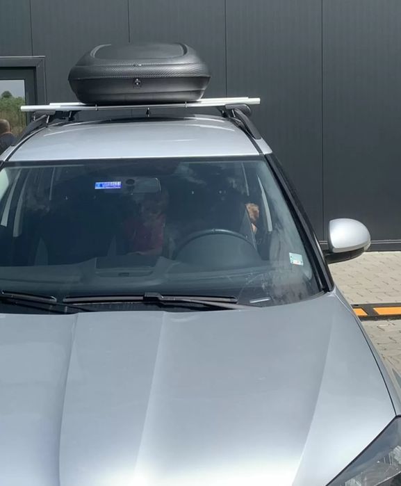 Автобокс art plast 133x77.8x34.5cm с ключ, 320 литра - карбон