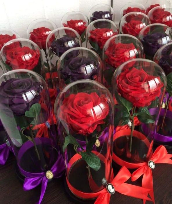 Trandafiri criogenati Valentine'sDay