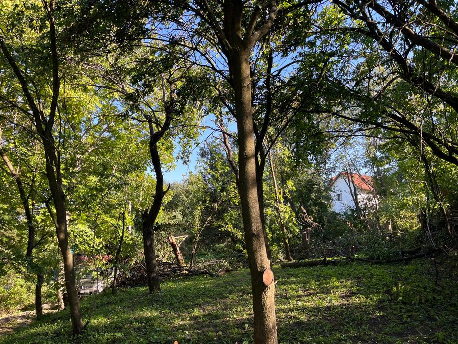 Teren 2030 mp | Sat Gheorghieni  | Asfaltat  |  Pers. Fizica