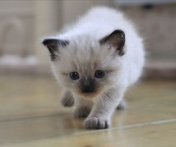 Uxlayotgan mast onalar porno