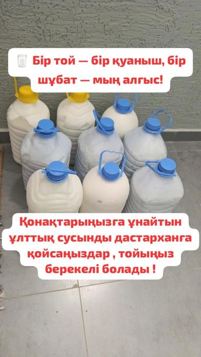ТабиТабиғи сусын іздесеңіз — бізде бар!