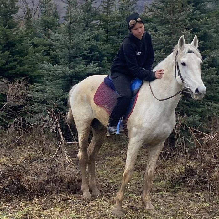 Конный тур на Лошадях