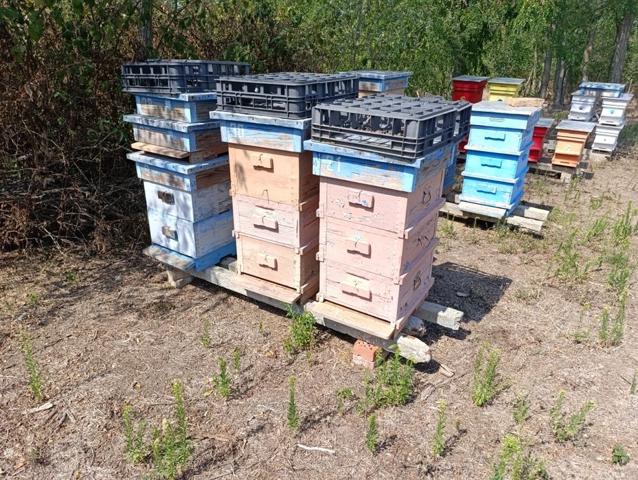 Пчелни кошери използвани