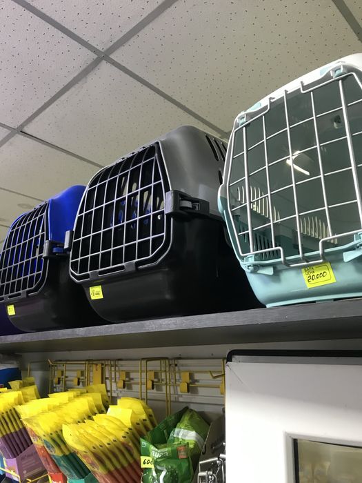 Зоотовары для животных