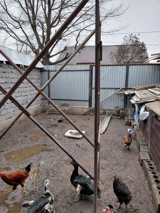 Продам дом.на чапаевке