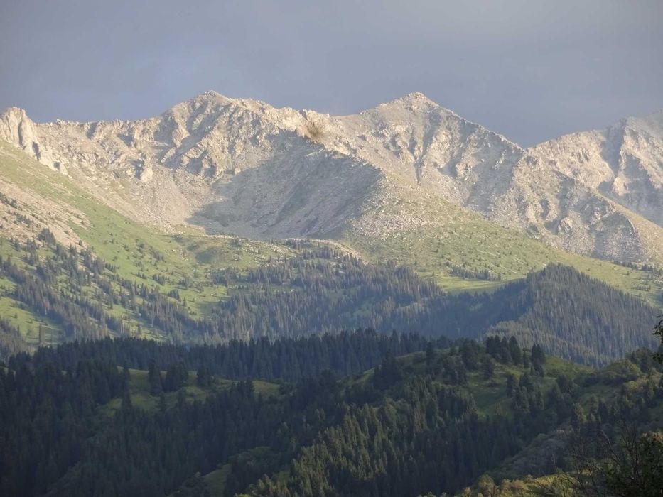 Дачу в горах продам.