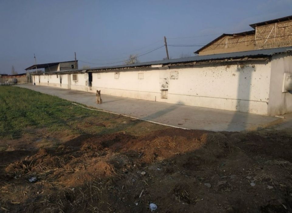 Yer sotiladi 48sotix 21 ta katej uchun