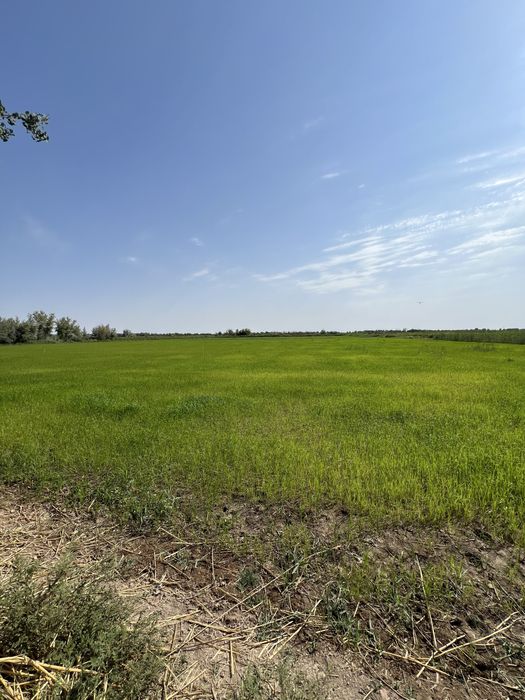 Ферма  кошимча ери билан сотилади