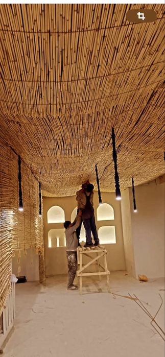 Декоративный камыш