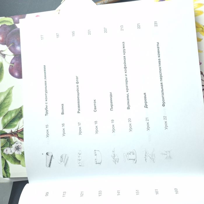 Книга вы сможете рисовать через 30 дней