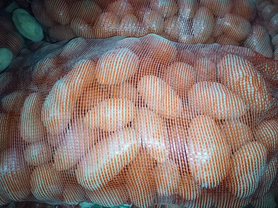 Картошка,  картофель  оптом