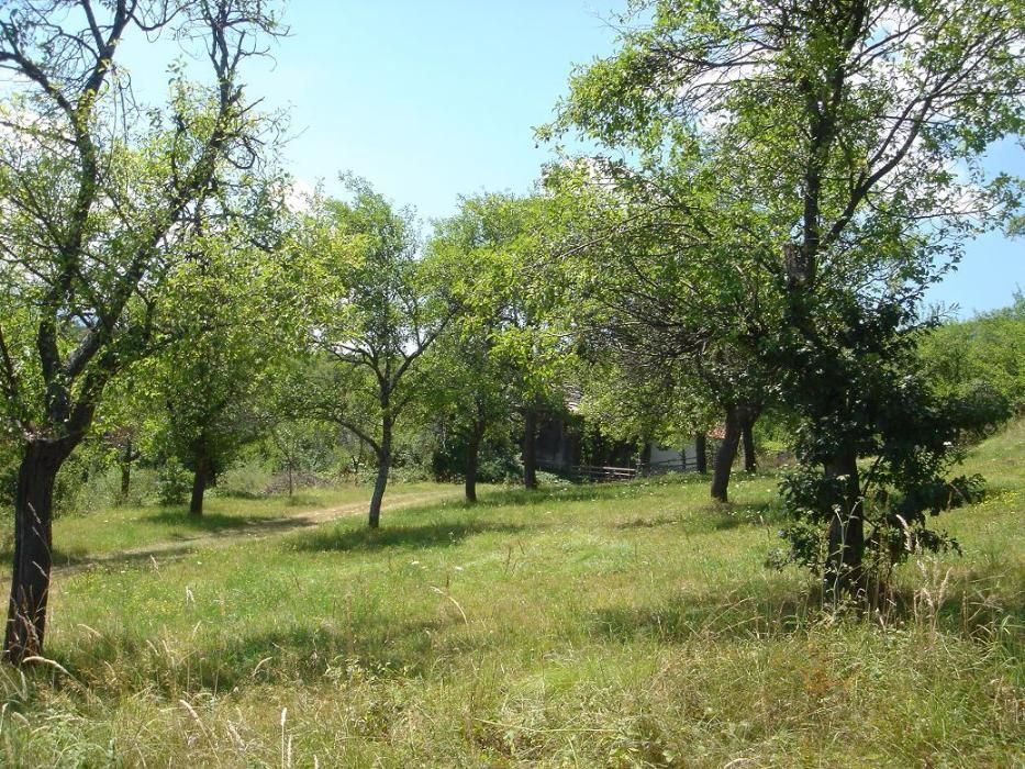 Продава се Парцел в Априлци - 6000 кв.м за 4 €/кв.м - Снимка #4