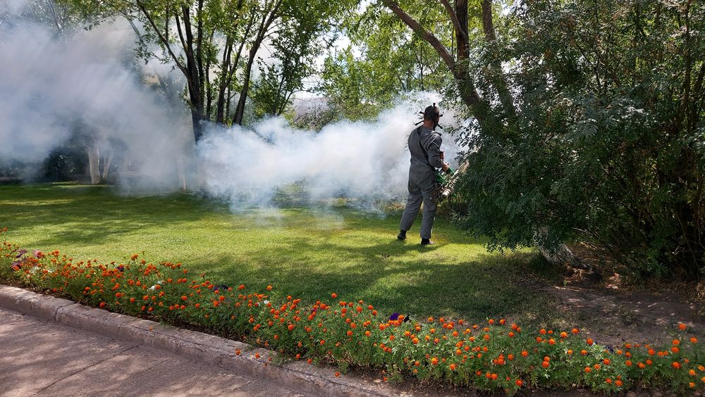 Дезинфекция Жезказган