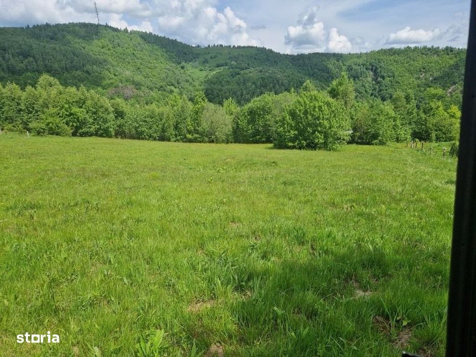Oportunitate Investitie! Teren Intravilan, 4411 mp, Valea Ierii
