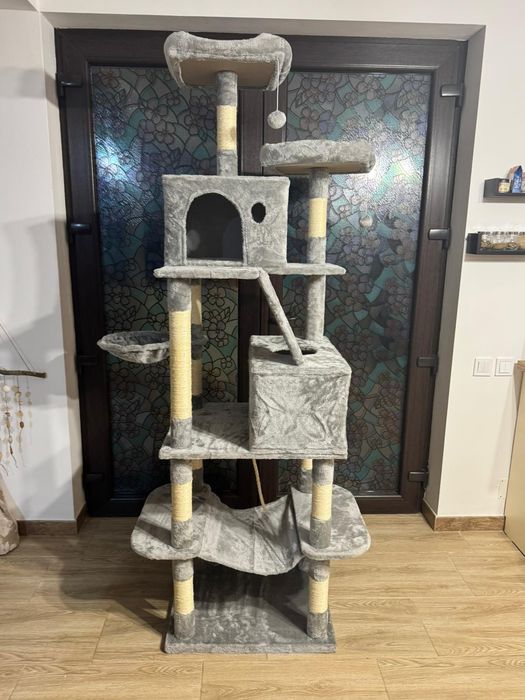 Ansamblu de joaca pentru pisici, 164  cm