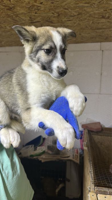 2 парня 3 мес с доставкой