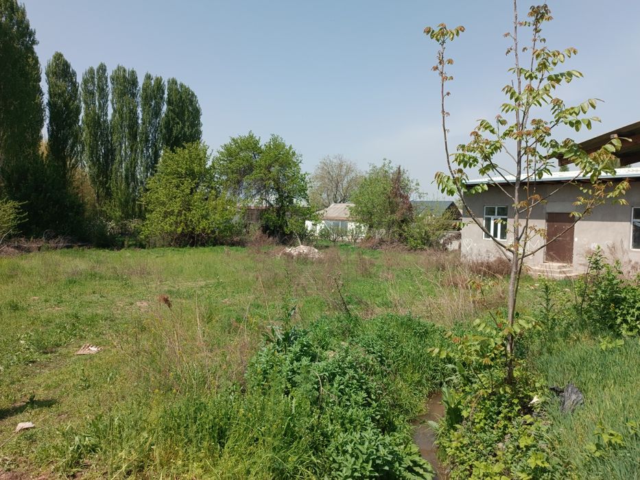 Срочно Участка сотилади М39 трасса буйи Тошкент в. Янгийул т. 12 сотих