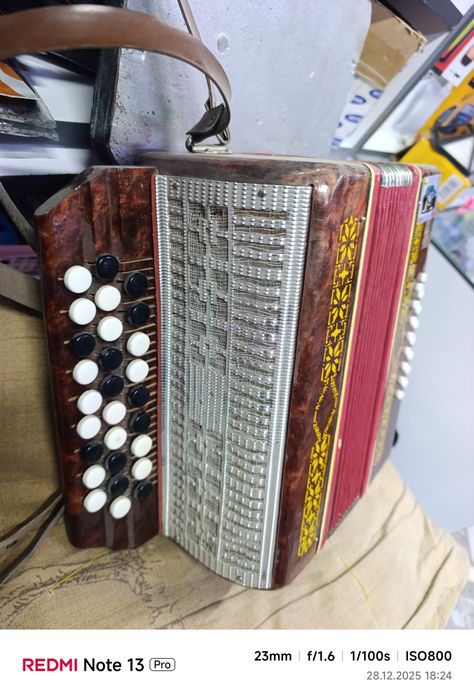 Гармошка оргинал