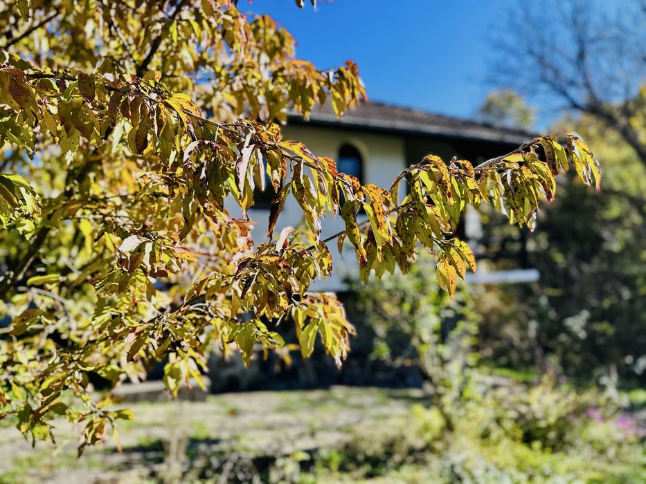 Продава се Къща в Априлци - 84 кв.м за 953 €/кв.м - Снимка #4