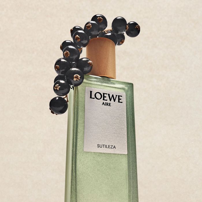 Loewe Aire Sutileza