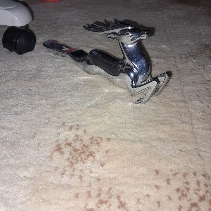 Олень  на Газ 21