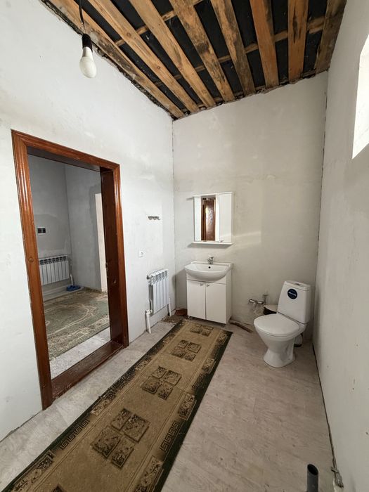 Обмен жылқы, сиыр, туйе