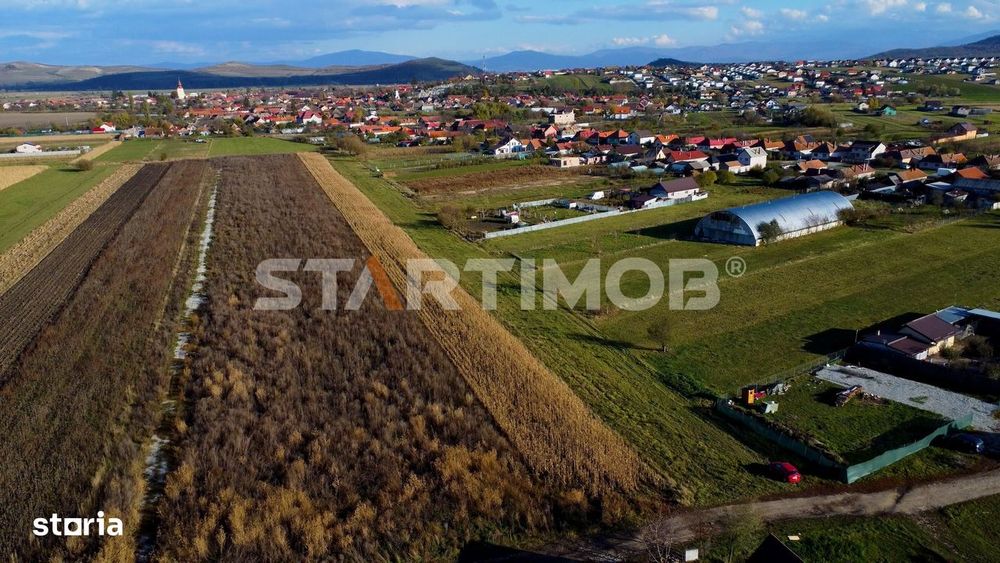 Teren intravilan  in localitatea Bod