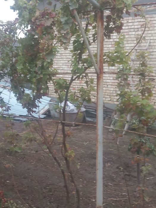 Ajoyib yer 2,2 sotik