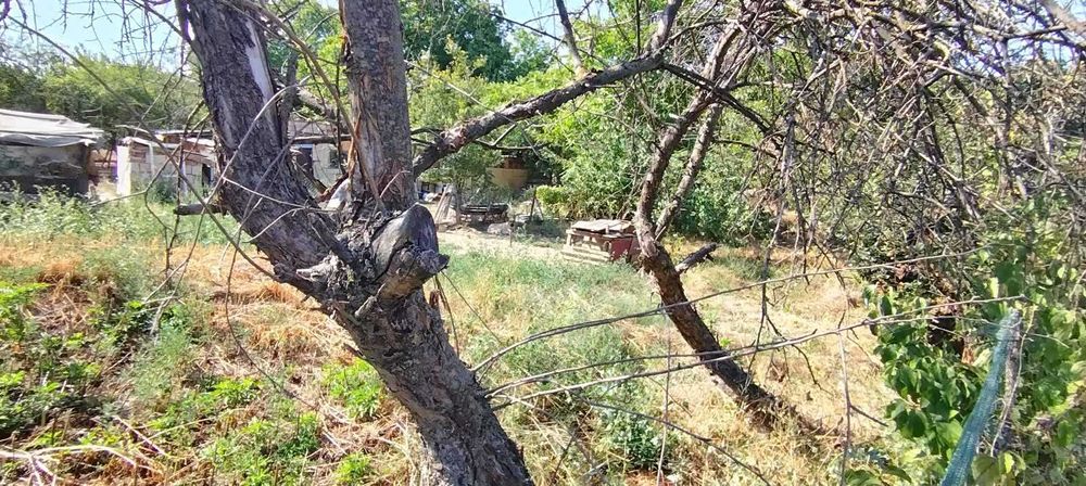 Парцел за продажба месност Конубунар