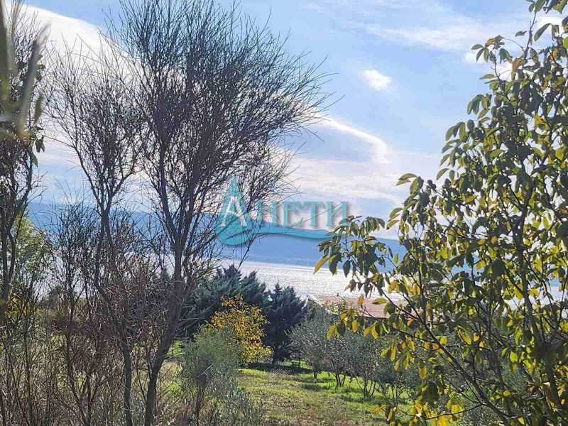 Продава се Парцел в София, Гео Милев - 1000 кв.м за 10 €/кв.м - Снимка #6