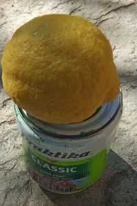 лимони-лимонови дръвчета