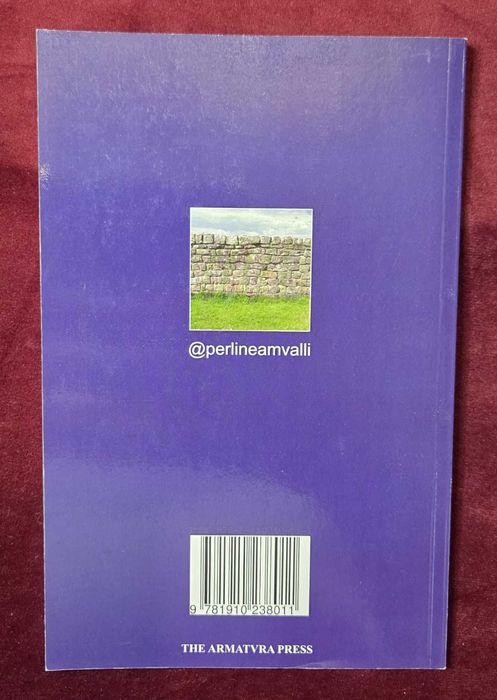 VT Milites Dicvntvr. A Dictionary of Roman Military Terms and Terminology