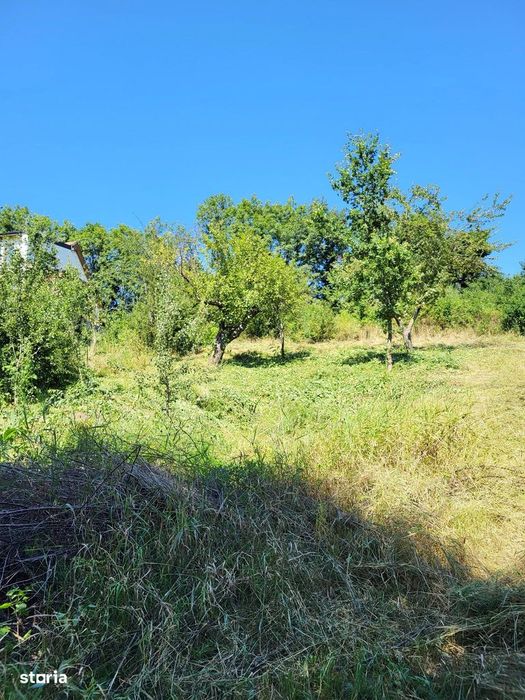 Reducere 6000Eu! Teren Intravilan Cu O Priveliște Superba |1.500 Mp