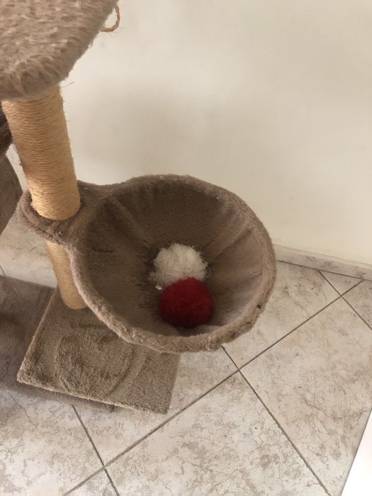 Катерушка за котки