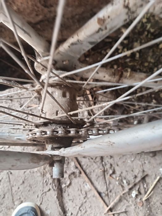 germaniski velik sotiladi