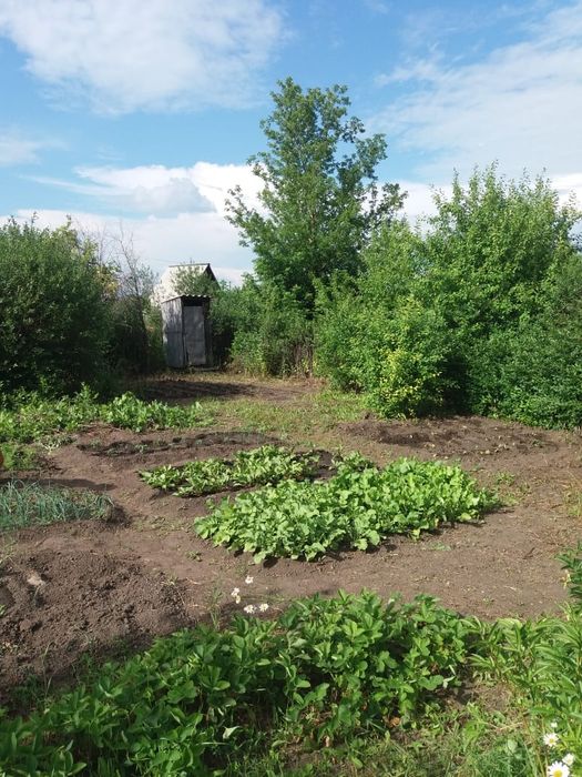 Продам дачный участок