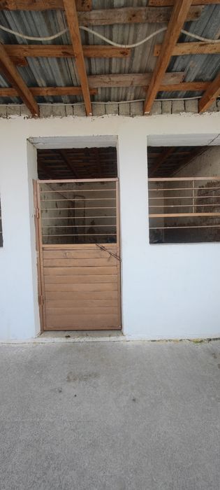 Место для содержание лошадей прогулка, уход,питание  ест  камера  набл