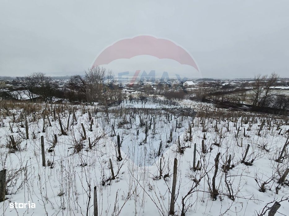 Teren intravilan 6850 mp Simnic, Izvor