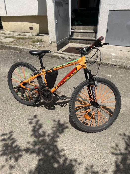 Bicicleta Terrana 9-15 ani