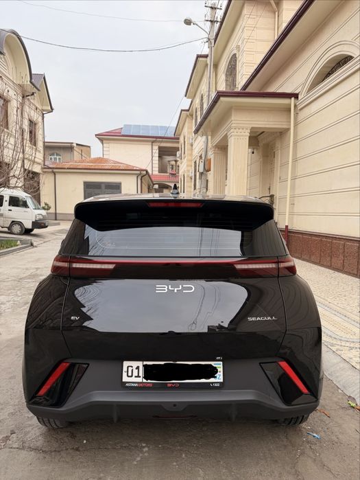 Ўзимники Byd Seagull