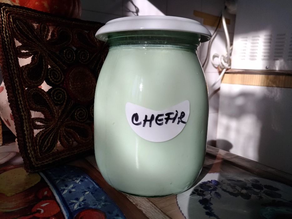 Kefir NATURAL 100%, acasă la tine, (Chefir de lapte din Caucaz)