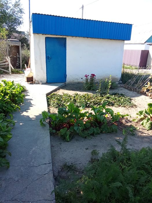 Продам дачу восточный левый