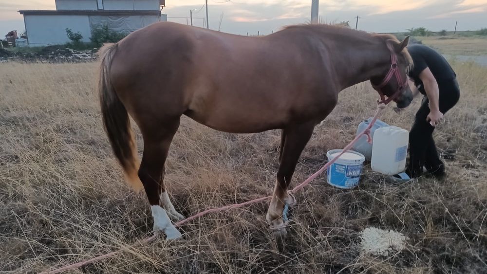 Manza de 2 ani si 4 luni