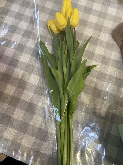Тюльпаны желтые