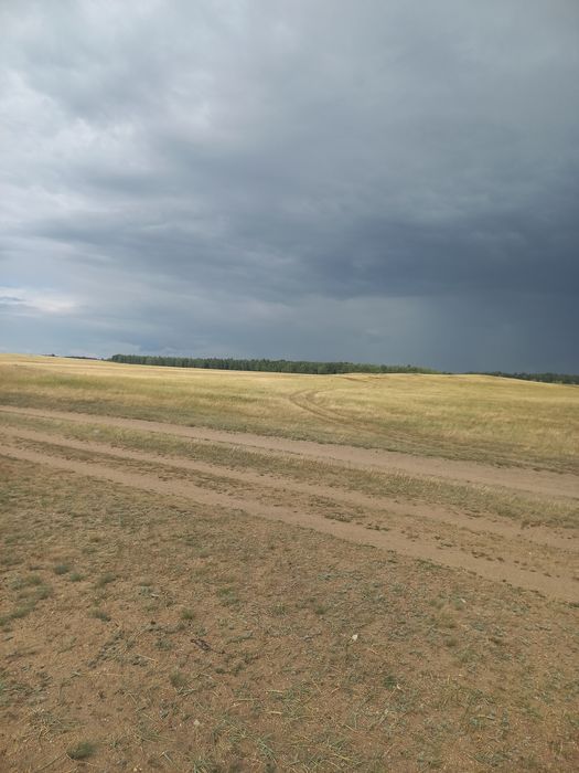 Земельный участок