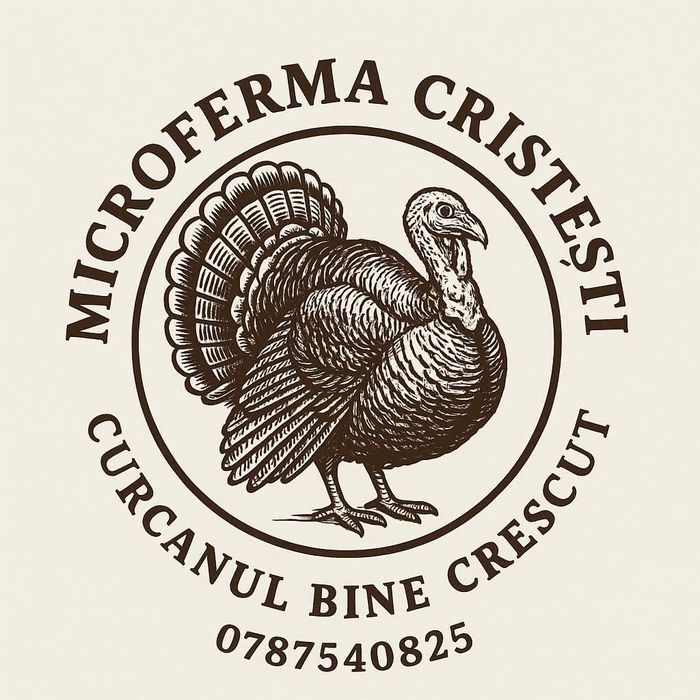 Curcani rasa grea big 6 1,5 kg