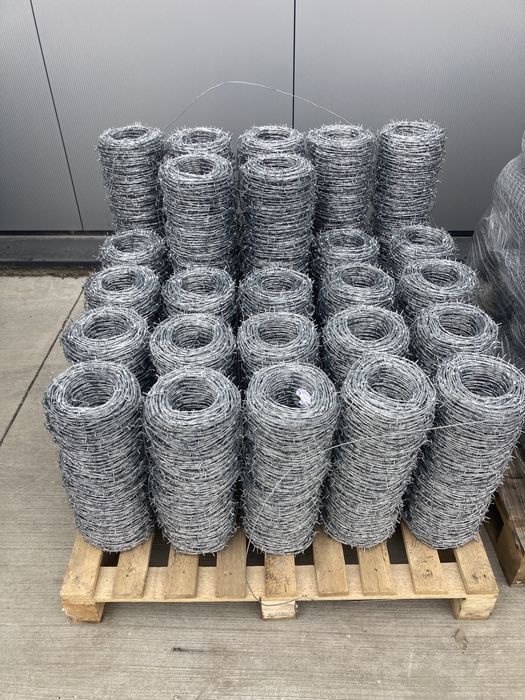 Sarma Ghimpata Rola 100m