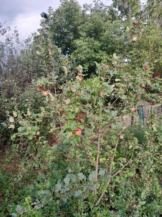 Продам дачу на 1дачная