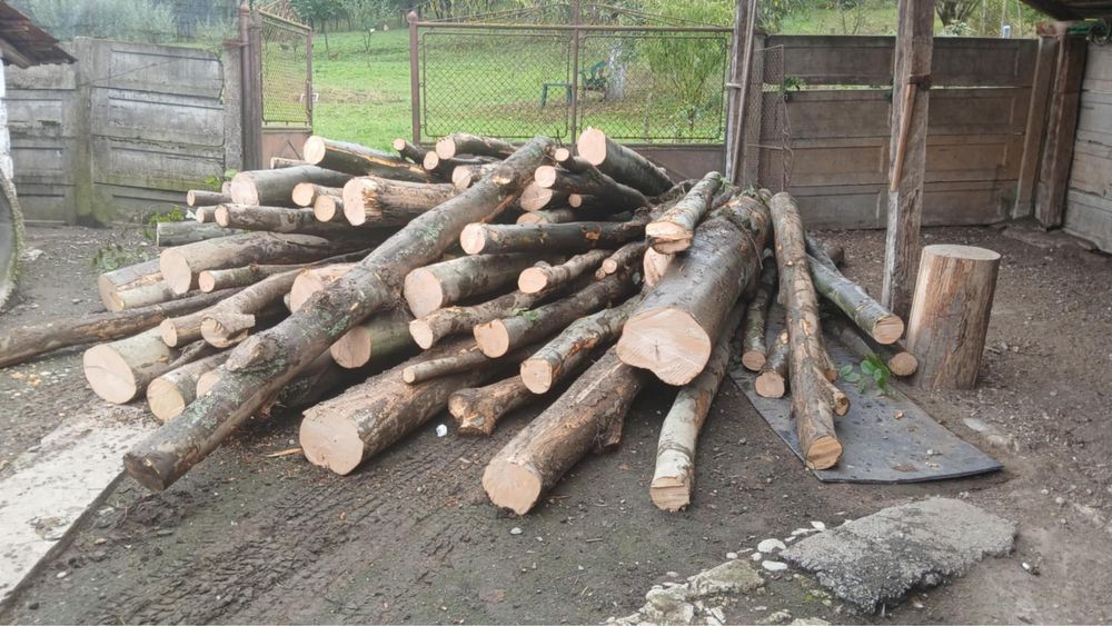 Lemn de Foc FAG ,Cele mai bune preturi !!! Tot judetul Hunedoara !